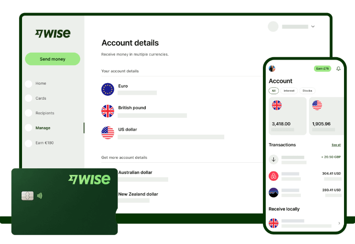 Types of Wise Account