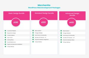 wordpress web development